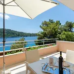 Pine Tree Zanetic * Blato (Korcula)
