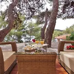 Apartment Pine Tree Zanetic