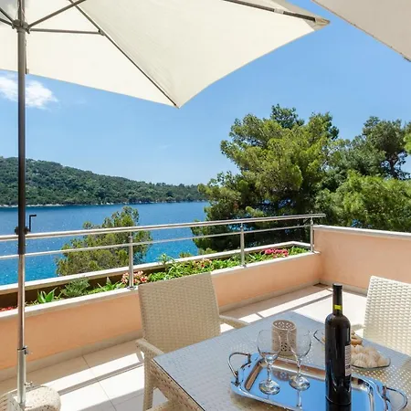 Pine Tree Zanetic * Blato (Korcula)