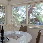 Pine Tree Zanetic Apartment Blato (Korcula)