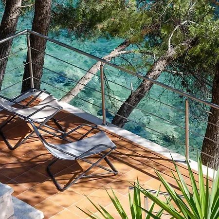 Pine Tree Zanetic * Blato (Korcula)