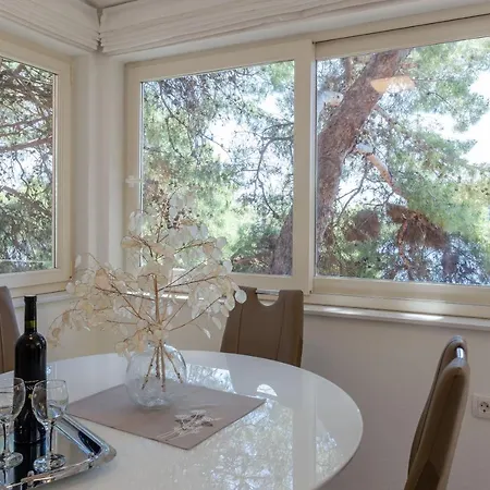 Pine Tree Zanetic Apartament Blato (Korcula)