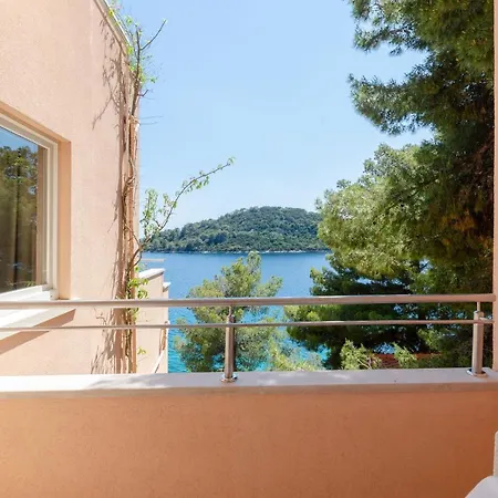 Pine Tree Zanetic Blato (Korcula)