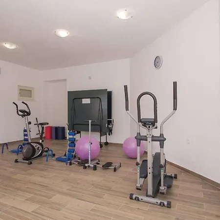 Apartament Pine Tree Zanetic
