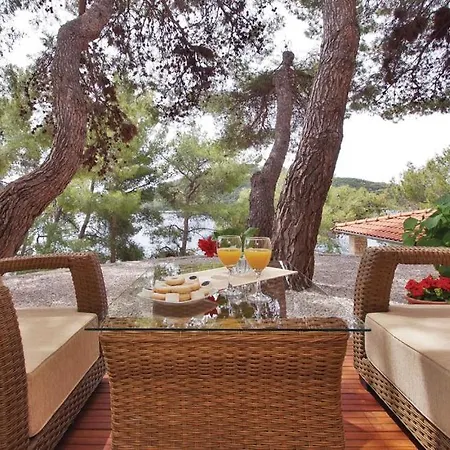Apartament Pine Tree Zanetic