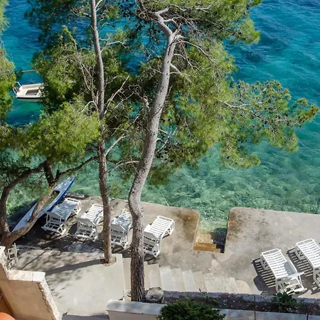 Pine Tree Zanetic * Blato (Korcula)