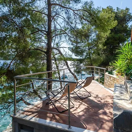 Pine Tree Zanetic * Blato (Korcula)