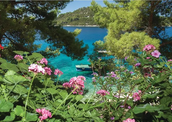 Lägenhet Pine Tree Zanetic