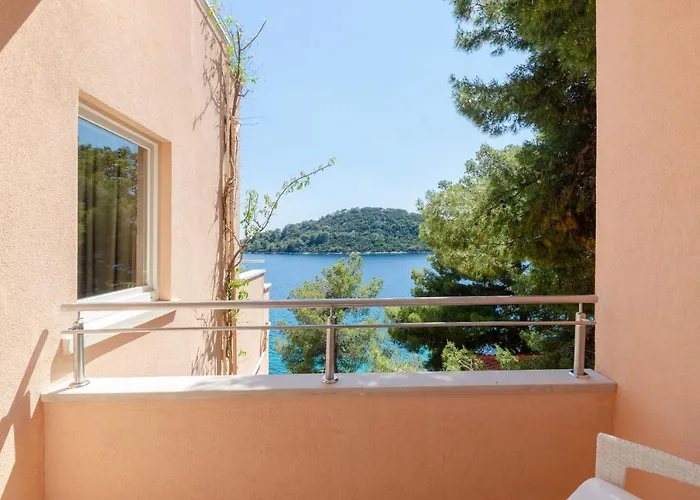 Pine Tree Zanetic Blato (Korcula)