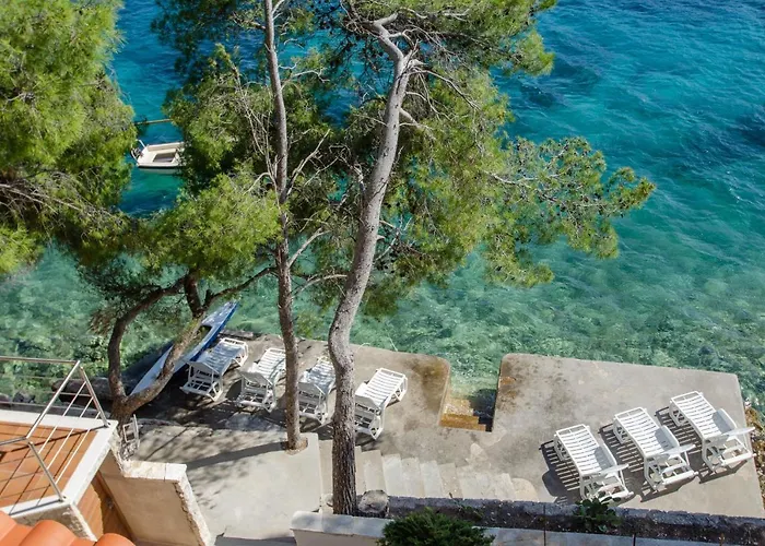 Pine Tree Zanetic * Blato (Korcula)