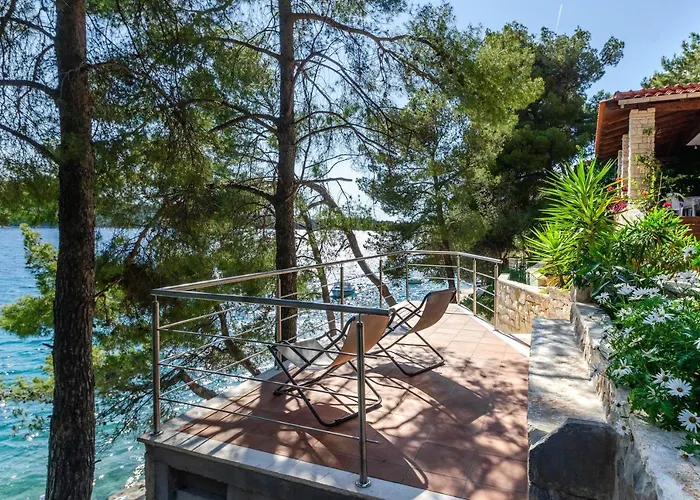 Pine Tree Zanetic * Blato (Korcula)